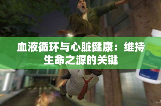血液循环与心脏健康：维持生命之源的关键