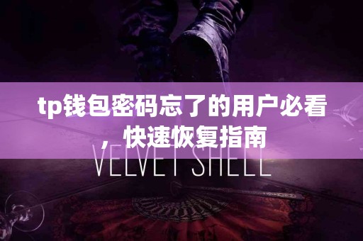 tp钱包密码忘了的用户必看，快速恢复指南