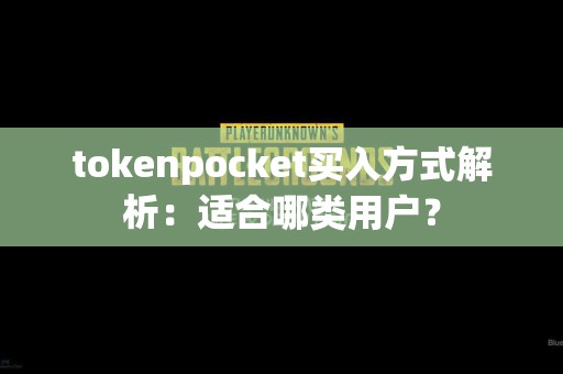tokenpocket买入方式解析：适合哪类用户？