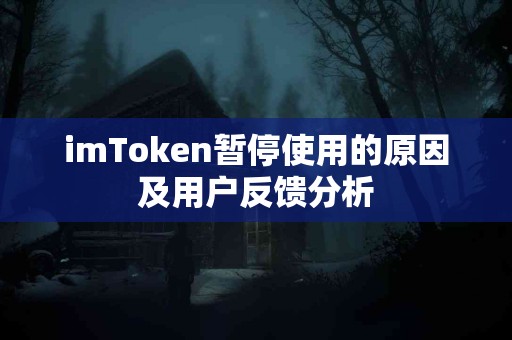 imToken暂停使用的原因及用户反馈分析