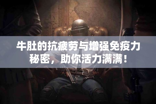 牛肚的抗疲劳与增强免疫力秘密，助你活力满满！