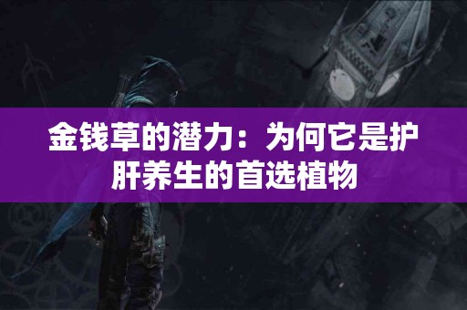 金钱草的潜力：为何它是护肝养生的首选植物