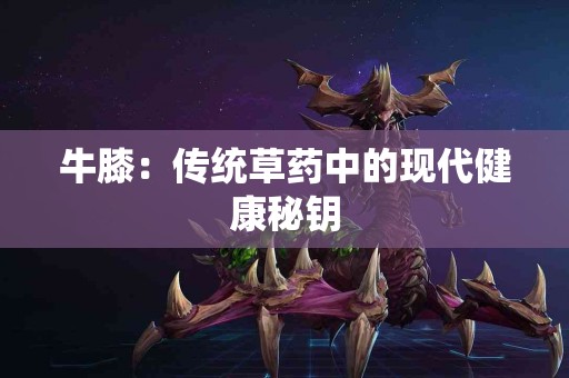 牛膝：传统草药中的现代健康秘钥