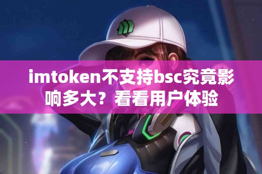 imtoken不支持bsc究竟影响多大？看看用户体验
