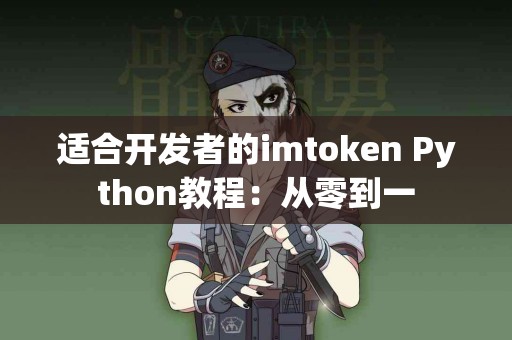 适合开发者的imtoken Python教程：从零到一