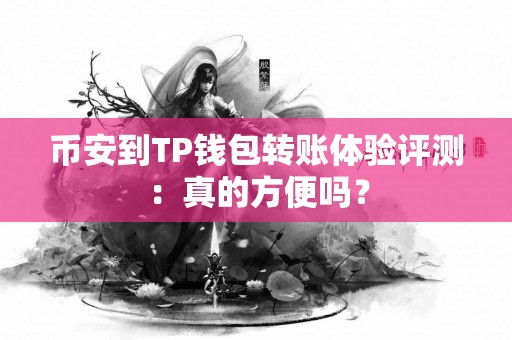 币安到TP钱包转账体验评测：真的方便吗？
