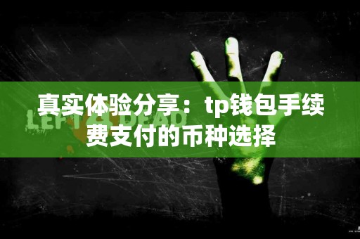 真实体验分享：tp钱包手续费支付的币种选择
